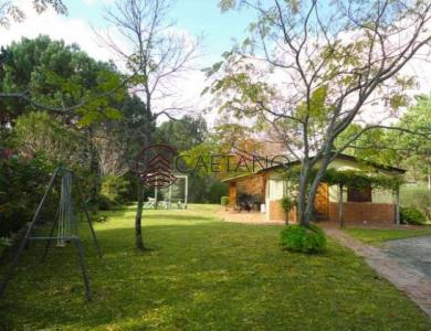 Casa zona bosque Portezuelo, Punta Ballena, 1000 mt2, 2 dormitorios