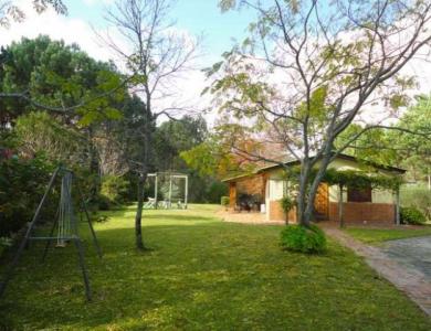 Casa zona bosque Portezuelo, Punta Ballena, 1000 mt2, 2 dormitorios