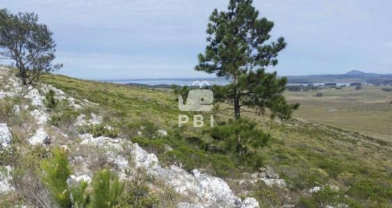 Venta de Chacra en Las Vertientes, Punta Ballena - Ref : PBI2254, 200 mt2, 2 dormitorios