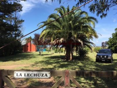 Venta chacra 6 has con casa en La Pataia, Punta Ballena, 6 mt2, 3 dormitorios